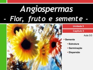 Unidade 5
Capítulo 5
Aula 3/3
 Semente
 Estrutura
 Germinação
 Dispersão
Angiospermas
- Flor, fruto e semente -
 