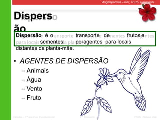 Dispers
ão
Angiospermas – flor, fruto e semente
Dispersão é o transporte de frutos e
sementes poragentes para locais
distantes da planta-mãe.
• AGENTES DE DISPERSÃO
– Animais
– Água
– Vento
– Fruto
Ciências – 7º ano Ens. Fundamental 2º Bimestre Profa. Rebeca Vale
 
