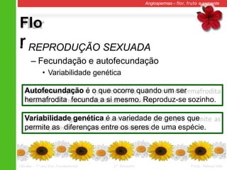 Flo
r
Angiospermas – flor, fruto e semente
• REPRODUÇÃO SEXUADA
– Fecundação e autofecundação
• Variabilidade genética
Autofecundação é o que ocorre quando um ser
hermafrodita fecunda a si mesmo. Reproduz-se sozinho.
Variabilidade genética é a variedade de genes que
permite as diferenças entre os seres de uma espécie.
Ciências – 7º ano Ens. Fundamental 2º Bimestre Profa. Rebeca Vale
 