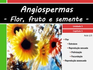Angiospermas
- Flor, fruto e semente -
                             Unidade 5

                             Capítulo 5
                                          Aula 1/3
                  Flor
                      Estrutura
                      Reprodução sexuada
                           Polinização
                           Fecundação
                  Reprodução assexuada
 