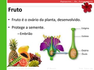 Angiospermas – flor, fruto e semente




Fruto
• Fruto é o ovário da planta, desenvolvido.
• Protege a semente.                                                      Estigma

            ─ Embrião
                                                                          Estilete




                                                                          Ovário
                                                                          Óvulo




Ciências – 7º ano Ens. Fundamental   2º Bimestre                       Profa. Rebeca Vale
 