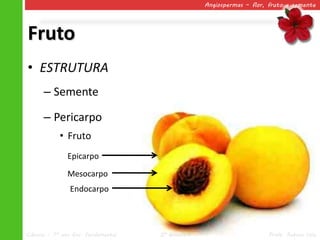 Angiospermas – flor, fruto e semente




Fruto
• ESTRUTURA
      – Semente

      – Pericarpo
            • Fruto
               Epicarpo
               Mesocarpo
                Endocarpo




Ciências – 7º ano Ens. Fundamental   2º Bimestre                       Profa. Rebeca Vale
 