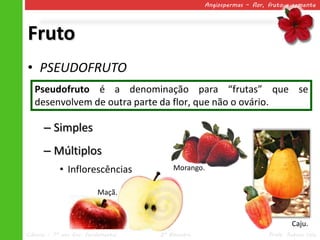 Angiospermas – flor, fruto e semente




Fruto
• PSEUDOFRUTO
   Pseudofruto é a denominação para “frutas” que se
   desenvolvem de outra parte da flor, que não o ovário.

      – Simples
      – Múltiplos
            • Inflorescências            Morango.


                          Maçã.


                                                                               Caju.
Ciências – 7º ano Ens. Fundamental   2º Bimestre                       Profa. Rebeca Vale
 