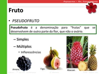Angiospermas – flor, fruto e semente




Fruto
• PSEUDOFRUTO
   Pseudofruto é a denominação para “frutas” que se
   desenvolvem de outra parte da flor, que não o ovário.

      – Simples
      – Múltiplos
            • Inflorescências




     Amora.                          Figo.
                                                               Abacaxi.
Ciências – 7º ano Ens. Fundamental           2º Bimestre                       Profa. Rebeca Vale
 