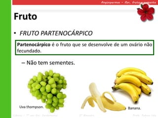 Angiospermas – flor, fruto e semente




Fruto
• FRUTO PARTENOCÁRPICO
   Partenocárpico é o fruto que se desenvolve de um ovário não
   fecundado.

      – Não tem sementes.




    Uva thompson.                                                   Banana.
Ciências – 7º ano Ens. Fundamental   2º Bimestre                       Profa. Rebeca Vale
 