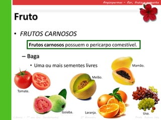 Angiospermas – flor, fruto e semente




Fruto
• FRUTOS CARNOSOS
           Frutos carnosos possuem o pericarpo comestível.

      – Baga
             • Uma ou mais sementes livres                                        Mamão.


                                                       Melão.


   Tomate.




                                     Goiaba.      Laranja.                               Uva.
Ciências – 7º ano Ens. Fundamental             2º Bimestre                          Profa. Rebeca Vale
 