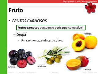 Angiospermas – flor, fruto e semente




Fruto
• FRUTOS CARNOSOS
           Frutos carnosos possuem o pericarpo comestível.

      – Drupa                                                                        Pêssego.


            • Uma semente, endocarpo duro.




Ameixa.                              Azeitona.
                                                                                      Manga.
Ciências – 7º ano Ens. Fundamental               2º Bimestre                       Profa. Rebeca Vale
 