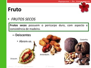 Angiospermas – flor, fruto e semente




Fruto
• FRUTOS SECOS
   Frutos secos possuem o pericarpo duro, com aspecto e
   consistência de madeira.

      – Deiscentes
                                                                                Castanha.
            • Abrem-se.



                                     Amendoim.

   Urucum.


Ciências – 7º ano Ens. Fundamental        2º Bimestre                       Profa. Rebeca Vale
 