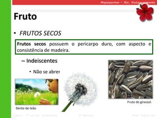 Angiospermas – flor, fruto e semente




Fruto
• FRUTOS SECOS
   Frutos secos possuem o pericarpo duro, com aspecto e
   consistência de madeira.

      – Indeiscentes
            • Não se abrem.




                                                                    Fruto do girassol.
  Dente-de-leão
Ciências – 7º ano Ens. Fundamental   2º Bimestre                       Profa. Rebeca Vale
 