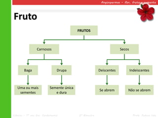Angiospermas – flor, fruto e semente




Fruto
                                            FRUTOS



                  Carnosos                                             Secos




        Baga                     Drupa                    Deiscentes           Indeiscentes



   Uma ou mais              Semente única
                                                          Se abrem          Não se abrem
    sementes                   e dura




Ciências – 7º ano Ens. Fundamental          2º Bimestre                         Profa. Rebeca Vale
 