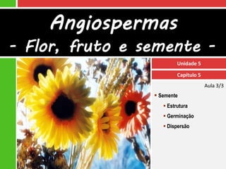 Angiospermas
- Flor, fruto e semente -
                          Unidade 5

                          Capítulo 5
                                       Aula 3/3
                  Semente
                     Estrutura
                     Germinação
                     Dispersão
 