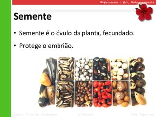 Angiospermas – flor, fruto e semente




Semente
• Semente é o óvulo da planta, fecundado.
• Protege o embrião.




Ciências – 7º ano Ens. Fundamental   2º Bimestre                       Profa. Rebeca Vale
 