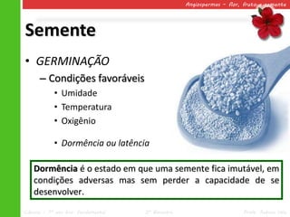Angiospermas – flor, fruto e semente




Semente
• GERMINAÇÃO
      – Condições favoráveis
            • Umidade
            • Temperatura
            • Oxigênio

            • Dormência ou latência

    Dormência é o estado em que uma semente fica imutável, em
    condições adversas mas sem perder a capacidade de se
    desenvolver.
Ciências – 7º ano Ens. Fundamental   2º Bimestre                       Profa. Rebeca Vale
 