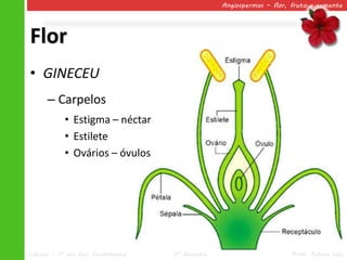 Angiospermas – flor, fruto e semente




Flor
• GINECEU
      – Carpelos
            • Estigma – néctar
            • Estilete
            • Ovários – óvulos




Ciências – 7º ano Ens. Fundamental   2º Bimestre                       Profa. Rebeca Vale
 