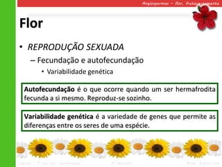 Angiospermas – flor, fruto e semente




Flor
• REPRODUÇÃO SEXUADA
      – Fecundação e autofecundação
            • Variabilidade genética

   Autofecundação é o que ocorre quando um ser hermafrodita
   fecunda a si mesmo. Reproduz-se sozinho.

   Variabilidade genética é a variedade de genes que permite as
   diferenças entre os seres de uma espécie.



Ciências – 7º ano Ens. Fundamental   2º Bimestre                       Profa. Rebeca Vale
 