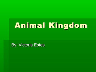 Animal Kingdom

By: Victoria Estes
 