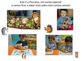 Este é o Pica-pica, um ouriço especial  e vamos ficar a saber mais sobre este curioso animal. 