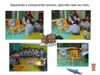 Separando e comparando animais, aprendo cada vez mais. 