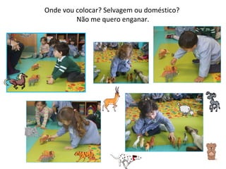 Onde vou colocar? Selvagem ou doméstico?  Não me quero enganar. 