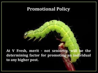  Advertisement on the body of the refrigerated trucks ( mentioning about the product categories and comparative prices)