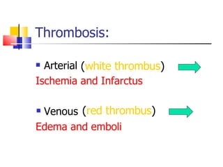 V. Hyper Coagulation State | PPT