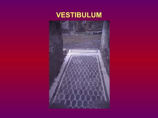 VESTIBULUM 