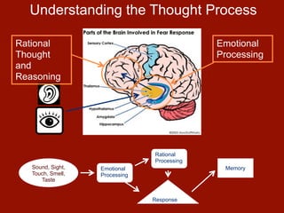Understanding the Thought Process

Rational                                     Emotional
Thought                                      Processing
and
Reasoning




                                Rational
                                Processing
   Sound, Sight,   Emotional                  Memory
   Touch, Smell,   Processing
      Taste


                                Response
 