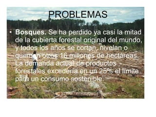 PROBLEMAS Bosques.  Se ha perdido ya casi la mitad de la cubierta forestal original del mundo, y todos los años se cortan, nivelan o queman otros 16 millones de hectáreas. La demanda actual de productos forestales excedería en un 25% el límite para un consumo sostenible. 