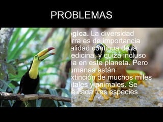 PROBLEMAS Diversidad biológica.  La diversidad biológica de la tierra es de importancia crucial para la vitalidad continua de la agricultura y la medicina, y quizá incluso para la vida misma en este planeta. Pero las actividades humanas están ocasionando la extinción de muchos miles de especies vegetales y animales. Se estima que dos de cada tres especies están decayendo. 