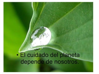 El cuidado del planeta depende de nosotros. 