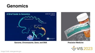 Visual Genome The Role of Visualization in Genomics Data Analysis Workflows: The ...