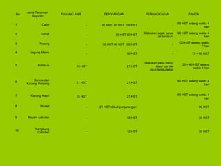 PASANG AJIR PENYIANGAN PEMANGKASAN PANEN
- 30 HST- 60 HST 100 HST -
90 HST selang waktu 4
hari
- 30 HST 60 HST
Dilakukan sejak tunas
air tumbuh
90 HST selang waktu 4
hari
- 30 HST 60 HST 100 HST -
120 HST selang waktu
7 hari
- 50 HST - 75 – 80 HST
15 HST 21 HST
Dilakukan pada daun-
daun tua bila
daun terlalu lebat
35 – 40 HST selang
waktu 4 hari
21 HST 21 HST
60 HST selang waktu 4
hari
15 HST 21 HST
60 HST selang waktu 4
hari
- 21 HST diikuti penjarangan 90 HST
- 18 HST 30 HST
- 18 HST 30 HST
No.
Jenis Tanaman
Sayuran
1 Cabe
2 Tomat
3 Terong
4 Jagung Manis
5 Ketimun
6
Buncis dan
Kacang Panjang
7 Kacang Kapri
8 Wortel
9 Bayam cabutan
10
Kangkung
Cabutan
 