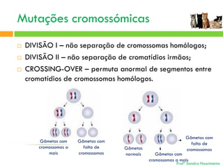 Mutações cromossómicas




DIVISÃO I – não separação de cromossomas homólogos;
DIVISÃO II – não separação de cromatídios irmãos;
CROSSING-OVER – permuta anormal de segmentos entre
cromatídios de cromossomas homólogos.

Gâmetas com
cromossomas a
mais

Gâmetas com
falta de
cromossomas

Gâmetas
normais

Gâmetas com
falta de
cromossomas

Gâmetas com
cromossomas a mais

Profª Sandra Nascimento

 