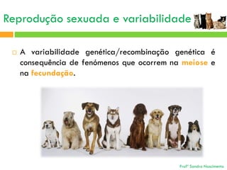 Reprodução sexuada e variabilidade


A variabilidade genética/recombinação genética é
consequência de fenómenos que ocorrem na meiose e
na fecundação.

Profª Sandra Nascimento

 