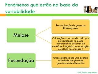 Fenómenos que estão na base da
variabilidade
Recombinação de genes no
Crossing–over

Meiose

Fecundação

Colocação ao acaso de cada par
de homólogos no plano
equatorial no decorrer da
metafase I seguida de separação
aleatória na anafase I.
União aleatória de uma grande
variedade de gâmetas,
geneticamente diferentes.

Profª Sandra Nascimento

 