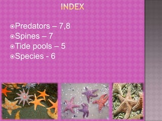                     IndexPredators – 7,8 Spines – 7Tide pools – 5Species - 6 