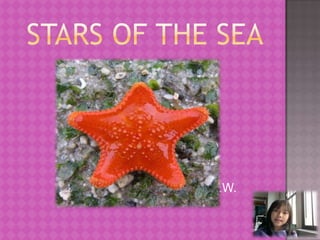  Stars of the sea                                                By V.W. . 
