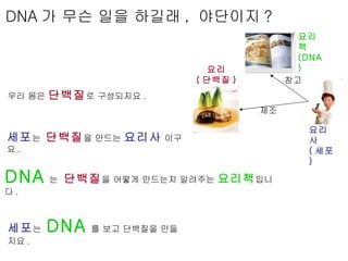 DNA 가 무슨 일을 하길래 ,  야단이지 ? 요리사 ( 세포 ) 요리책 (DNA) 요리 ( 단백질 ) 참고 제조 우리 몸은  단백질 로 구성되지요 .  세포 는  DNA 를 보고 단백질을 만들지요 . DNA 는  단백...