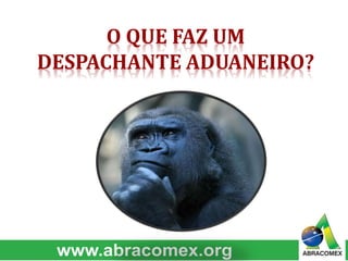 O QUE FAZ UM
DESPACHANTE ADUANEIRO?
 
