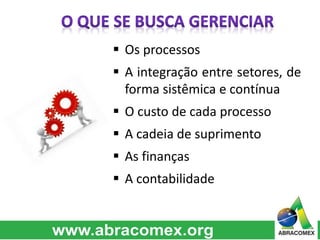  Os processos 
 A integração entre setores, de 
forma sistêmica e contínua 
 O custo de cada processo 
 A cadeia de suprimento 
 As finanças 
 A contabilidade 
 