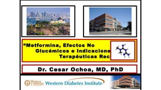 Dr. Cesar Ochoa, MD, PhD
“Metformina, Efectos No
Glucémicos e Indicaciones
Terapéuticas Recientes”
 