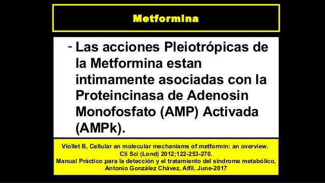 Metformina, efectos no glucémicos e indicaciones Metformina, efectos no glucémicos e indicaciones