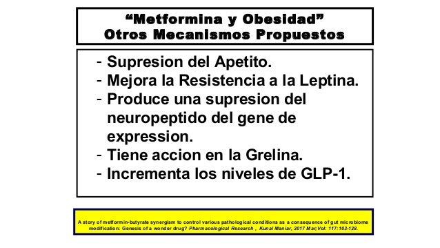 Metformina, efectos no glucémicos e indicaciones Metformina, efectos no glucémicos e indicaciones
