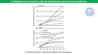 US Renal Data System- Incidence of ESRD by Primary Diagnosis.
La diabetes es la principal causa de insuficiencia renal en fase substitutiva
 