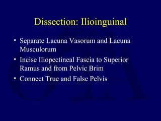 Dissection: Ilioinguinal
• Separate Lacuna Vasorum and Lacuna
Musculorum
• Incise Iliopectineal Fascia to Superior
Ramus and from Pelvic Brim
• Connect True and False Pelvis
 