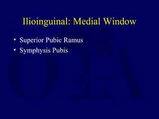 Ilioinguinal: Medial Window
• Superior Pubic Ramus
• Symphysis Pubis
 