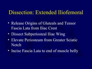 Dissection: Extended Iliofemoral
• Release Origins of Gluteals and Tensor
Fascia Lata from Iliac Crest
• Dissect Subperiosteal Iliac Wing
• Elevate Periosteum from Greater Sciatic
Notch
• Incise Fascia Lata to end of muscle belly
 