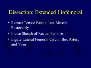 Dissection: Extended Iliofemoral
• Retract Tensor Fascia Lata Muscle
Posteriorly
• Incise Sheath of Rectus Femoris
• Ligate Lateral Femoral Circumflex Artery
and Vein
 