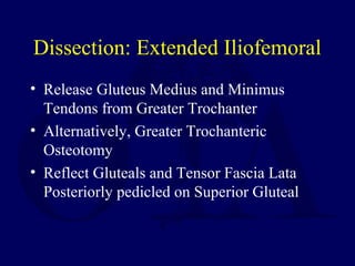 Dissection: Extended Iliofemoral
• Release Gluteus Medius and Minimus
Tendons from Greater Trochanter
• Alternatively, Greater Trochanteric
Osteotomy
• Reflect Gluteals and Tensor Fascia Lata
Posteriorly pedicled on Superior Gluteal
 