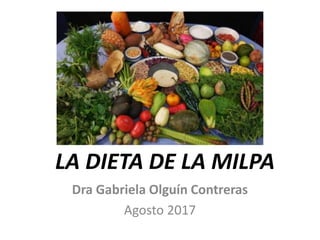 LA DIETA DE LA MILPA
Dra Gabriela Olguín Contreras
Agosto 2017
 